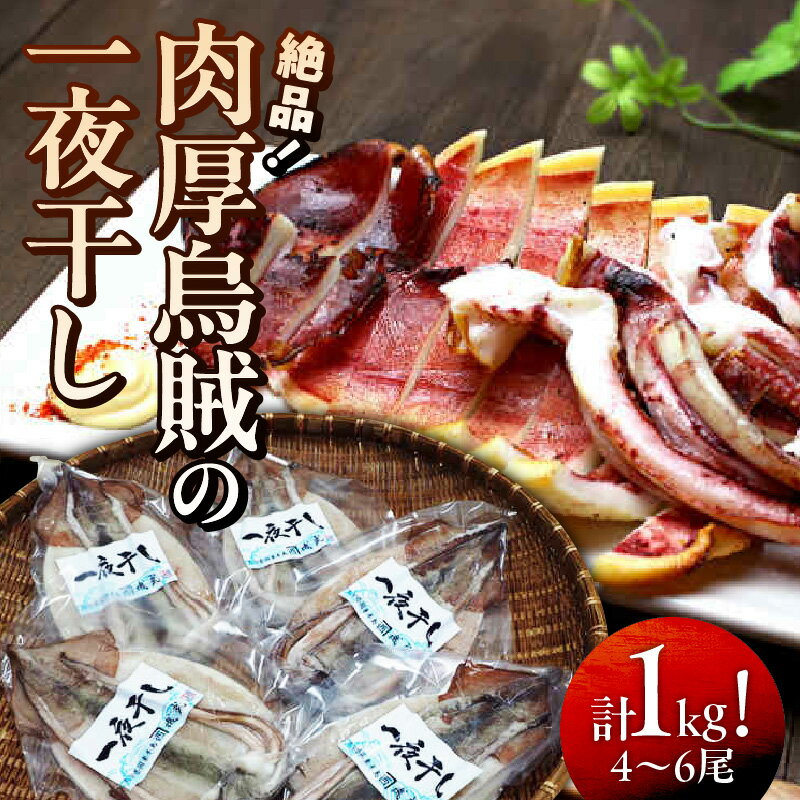 【ふるさと納税】イカ 一夜干し 1kg 4～6尾 肉厚 イカ 無添加 海鮮 干物 甘塩 おつまみ おかず ゲソ 耳 コリコリ食感 炙り 酒の肴 アテ お取り寄せ グルメ 送料無料のサムネイル