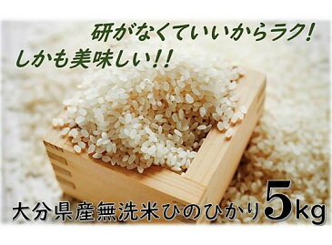 【ふるさと納税】とがずに炊ける大分県産無洗米ひのひかり5kg