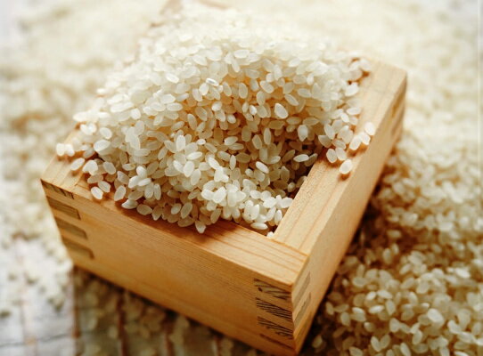 【ふるさと納税】とがずに炊ける大分県産無洗米ひのひかり5kg