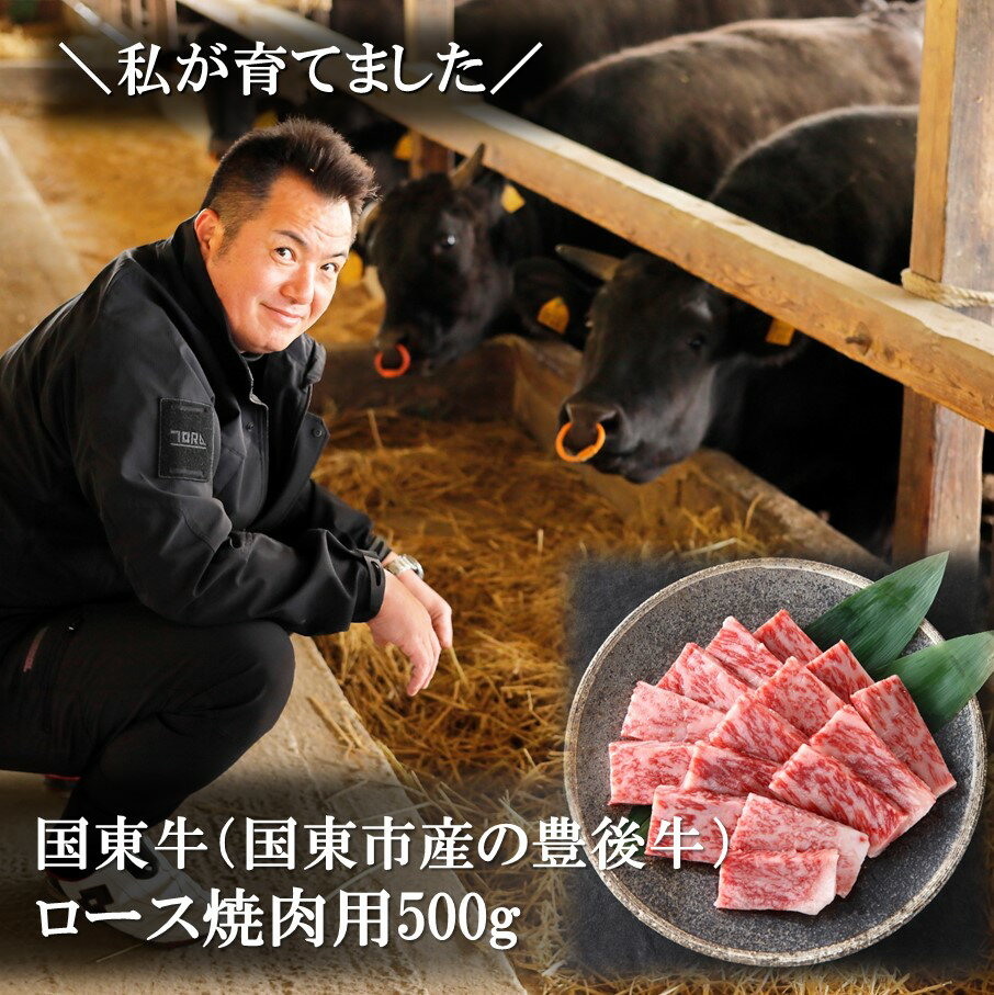 国東牛(国東市産の豊後牛)ロース焼肉用(1口カット)500g