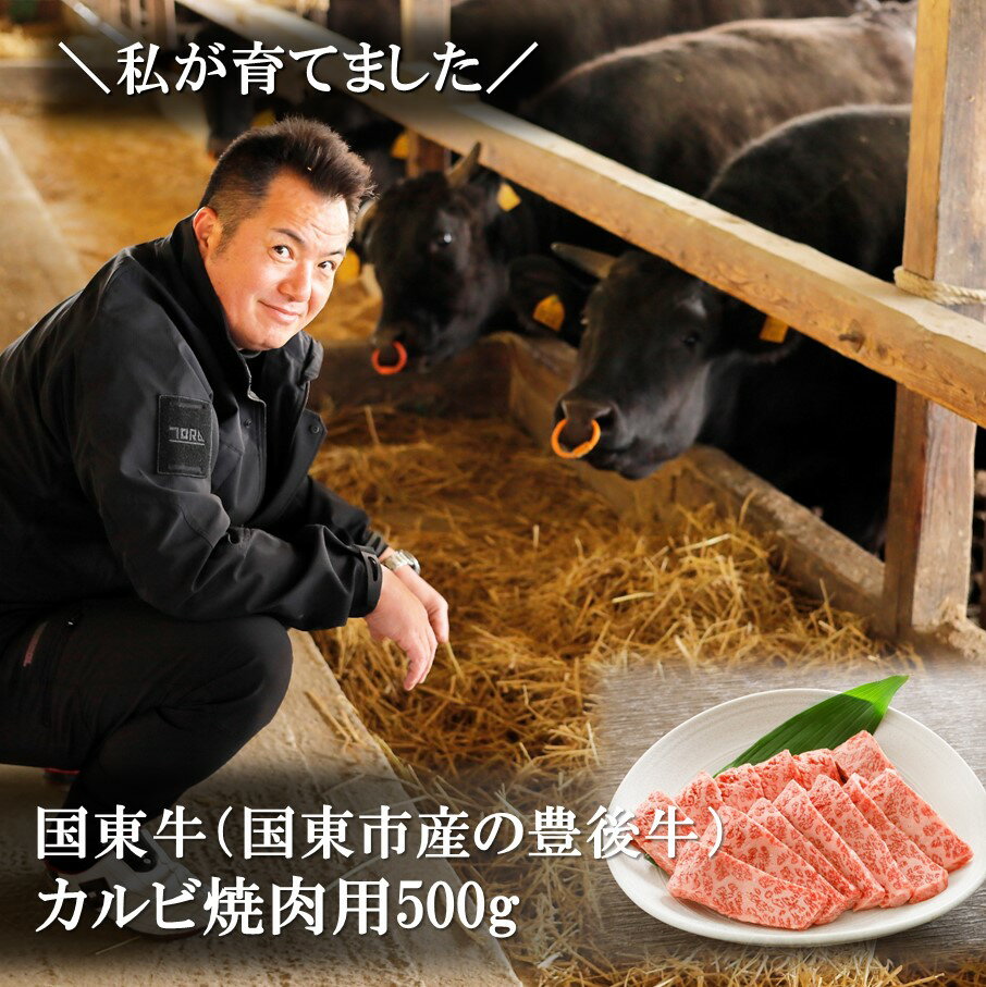 国東牛(国東市産の豊後牛)カルビ焼肉用(1口カット)500g