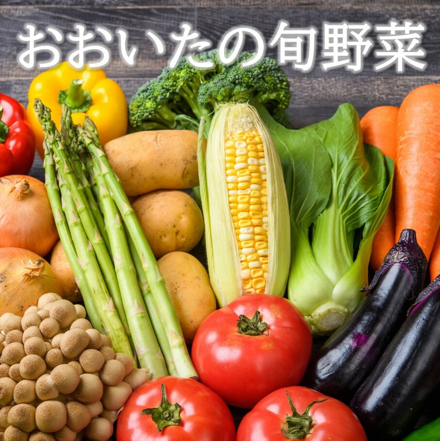 おおいたの旬野菜 10〜13品 詰め合わせ