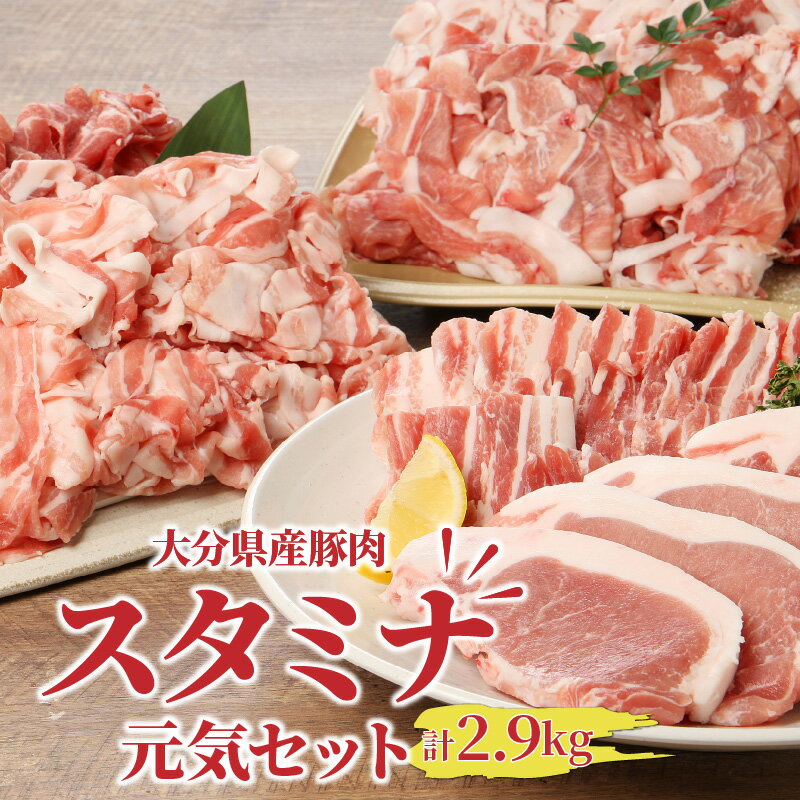 17位! 口コミ数「0件」評価「0」大分県豚肉スタミナ元気セット2.9kg