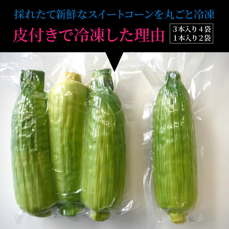 【ふるさと納税】美味しさそのまま！まるごと冷凍スイートコーン 14本 野菜 とうもろこし