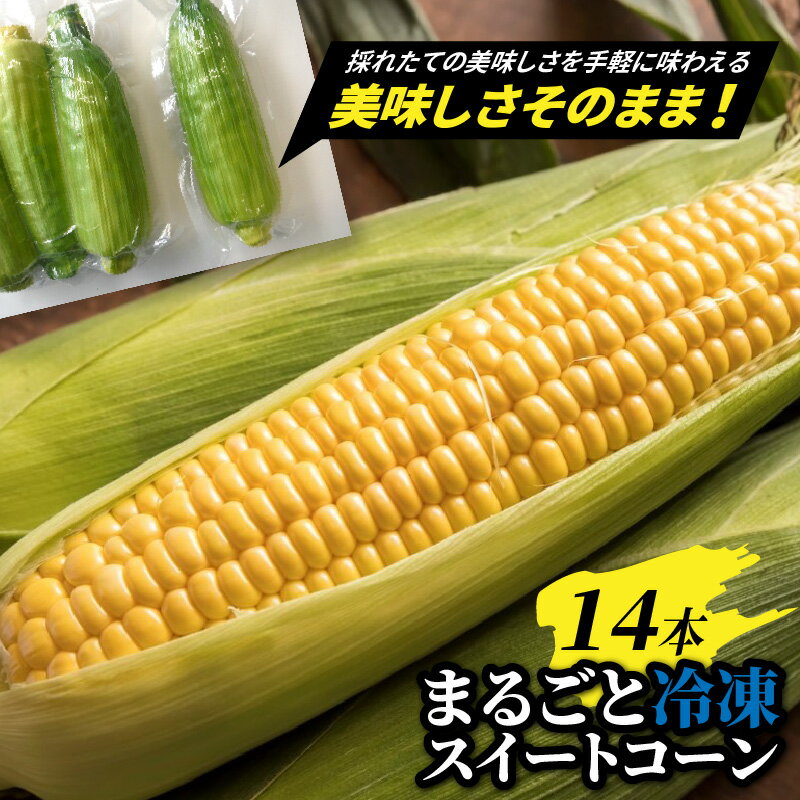 【ふるさと納税】美味しさそのまま！まるごと冷凍スイートコーン 14本 野菜 とうもろこし