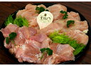 【ふるさと納税】鶏肉にうるさい大分で生まれたブランド鶏!豊後...