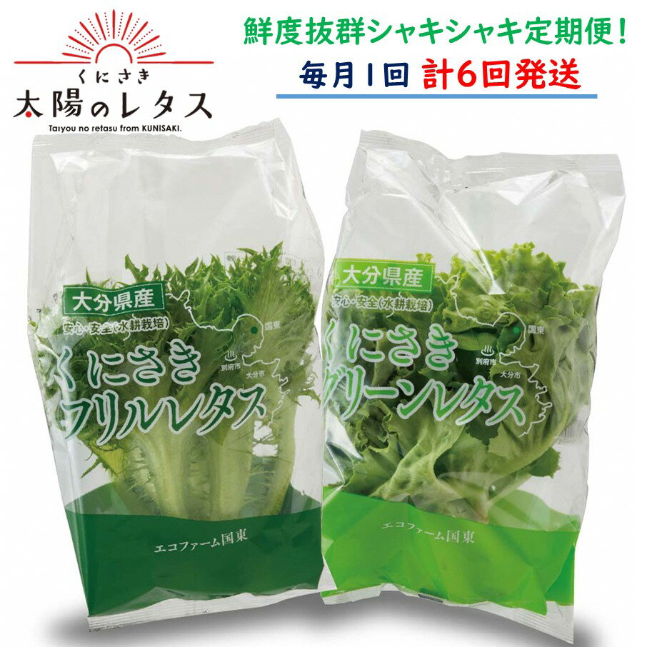 【ふるさと納税】毎月お届け!くにさき太陽のレタス定期便/計6回発送