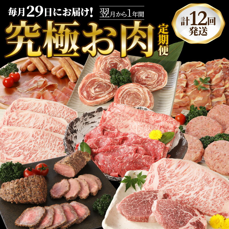 毎月29日にお届け!究極お肉1年間定期便/計12回発送