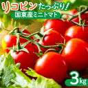 【ふるさと納税】リコピンたっぷり！国東産ミニトマト