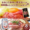 【ふるさと納税】生ハム セット 和牛 50g × 5パック ブランド 豚肉 60g × 3P 計 430g おおいた和牛 黒毛和牛 国産 牛肉 大分県産 桜王 ...