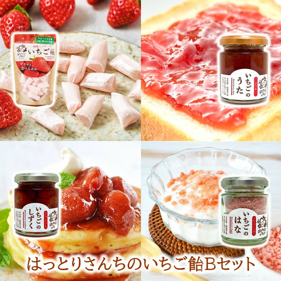 【ふるさと納税】はっとりさんちのいちご飴Bセット