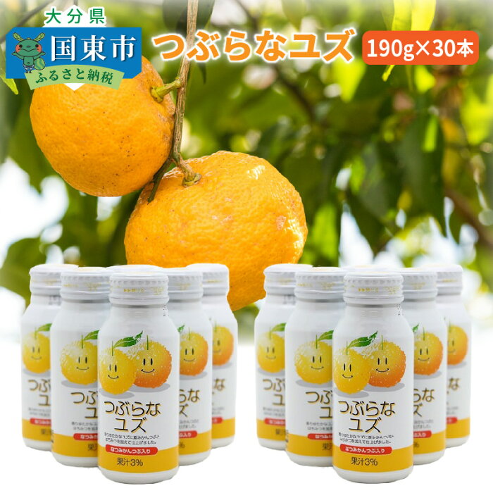 【ふるさと納税】つぶらなユズ 190g×30本 1ケース ジュース 清涼飲料水 ご当地ジュース ご当地飲料 ご当地 国産 ゆず 夏みかん 粒入り はちみつ 果汁 爽やか 優しい甘さ つぶらなカボス シリーズ 飲み物 大人 子供 JAフーズおおいた 送料無料