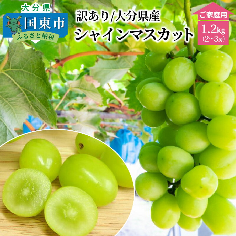 【ふるさと納税】訳あり シャインマスカット 令和5年発送 1.2kg 2～3房 大分県産 ご家庭用 9月上旬～10月中旬頃発送 ぶどう マスカット フルーツ 果物 お取り寄せ 人気 家庭用 おもてなし 送料無料のサムネイル