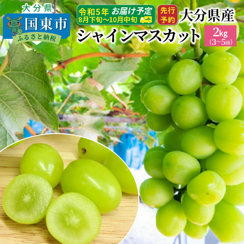 世界的に有名な ふるさと納税 備前市 岡山県産 シャインマスカット晴王 2kg uxcell 自己掘削ドライウォールアンカー 拡張ボルト モリーボルト 中空アンカー 16mm内径 5個入り