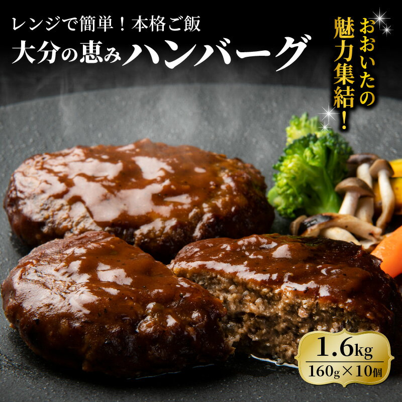 17位! 口コミ数「0件」評価「0」大分の恵みハンバーグ 1.6kg 160g×10個 1600g デミグラスソース 個包装 牛肉 豚肉 ハンバーグ おかず お弁当 惣菜 冷凍･･･ 