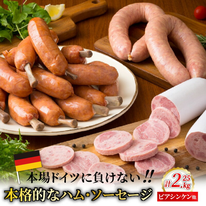 ソーセージ 【ふるさと納税】ハム ソーセージ 詰め合わせ セット 2.25kg ビアシンケン ゲルダーフランク 骨付き フランク 大分県産豚 本格 ウィンナー バーベキュー アウトドア パーティー 焼肉 家庭用 贈答用 ギフト おかず おつまみ お取り寄せ グルメ 送料無料