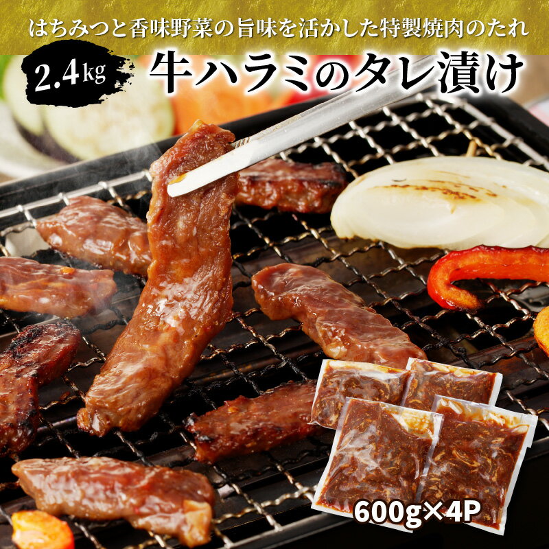 yӂ邳Ɣ[Łzn~ ^Ђ 2.4kg i600g~4Pj ^Ђ t y ȒP ē o[xL[ BBQ Ⓚ O