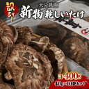 訳あり！大分県産新物乾しいたけ 40g×10袋セット