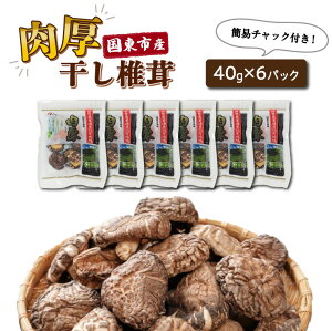 【ふるさと納税】干し椎茸 しいたけ どんこ 40g × 6パック 計 240g 国産 肉厚 国東産 チャック付き 密封 保存 便利 九州 乾燥椎茸 乾し椎茸 保存袋 原木 原木椎茸 小分け 包装 パック 食材 お取り寄せ グルメ 大分県 送料無料