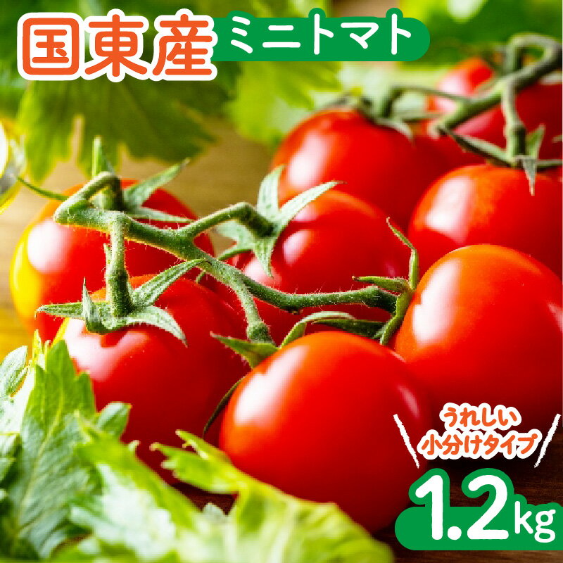 13位! 口コミ数「2件」評価「3」国東産ミニトマト1.2kg※嬉しい小分けタイプ_1053R 小分け トマト 好きっちゃとまと ハウス 新鮮 野菜 サラダ リコピン パスタ ･･･ 