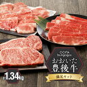 【ふるさと納税】 黒毛和牛 豊後牛 満足 セット カルビ 焼肉 赤身 すき焼き 霜降り サーロインステーキ 国産 大分県産牛 料理 おかず お取り寄せ グルメ ギフト 肉 大分県 冷凍 送料無料