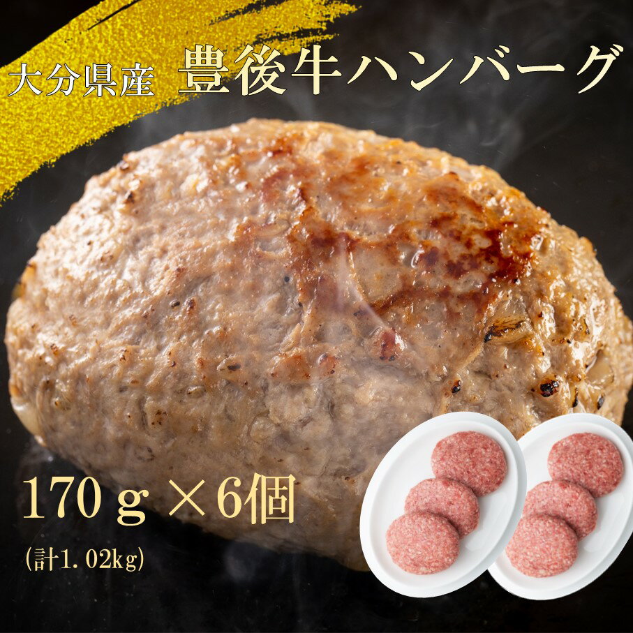 [黒毛和牛]豊後牛ハンバーグ計1.02kg(170g×6個)