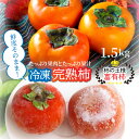 【ふるさと納税】冷凍 完熟 柿 富有柿 1.5kg 冷凍柿 かき カキ 富有 ふゆう フルーツ 新鮮 送料無料