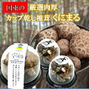 【ふるさと納税】 国東の厳選肉厚カップ乾し椎茸 くにまる 特大1・小2 シイタケ 乾物 おすすめ 栄養 美容 食物繊維 出汁 朝食 夕食 大分県産 特産品 ご当...