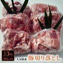 大容量でお届け！大分県産豚切り落とし3kg