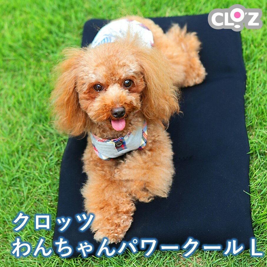 クールマット クロッツ わんちゃんパワークール L クロッツ わんちゃんパワークール L クロッツオンラインショップ