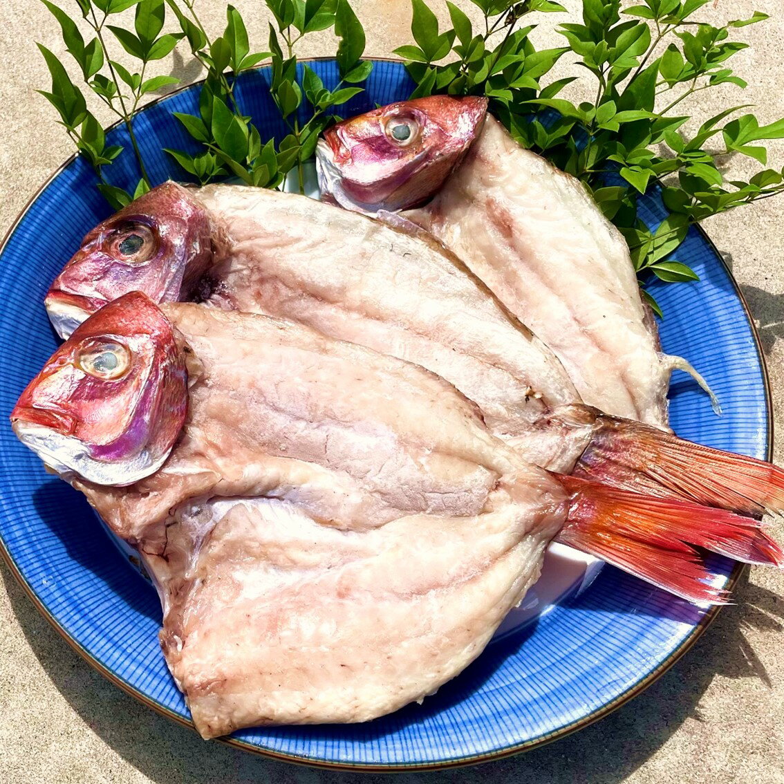 【ふるさと納税】骨なしで食べやすい！たっぷり鯛の一夜干し5尾と旬の魚1種セット タイ 一夜干し 干物 魚 アジ 鰆 さわら 鯛 お食い初め 鯛めし 真鯛