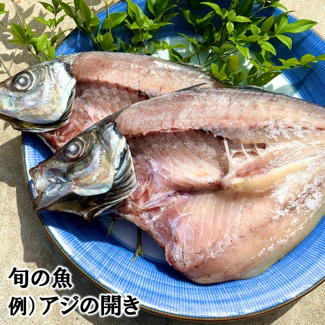 【ふるさと納税】骨なしで食べやすい！たっぷり鯛の一夜干し5尾と旬の魚1種セット タイ 一夜干し 干物 魚 アジ 鰆 さわら 鯛 お食い初め 鯛めし 真鯛