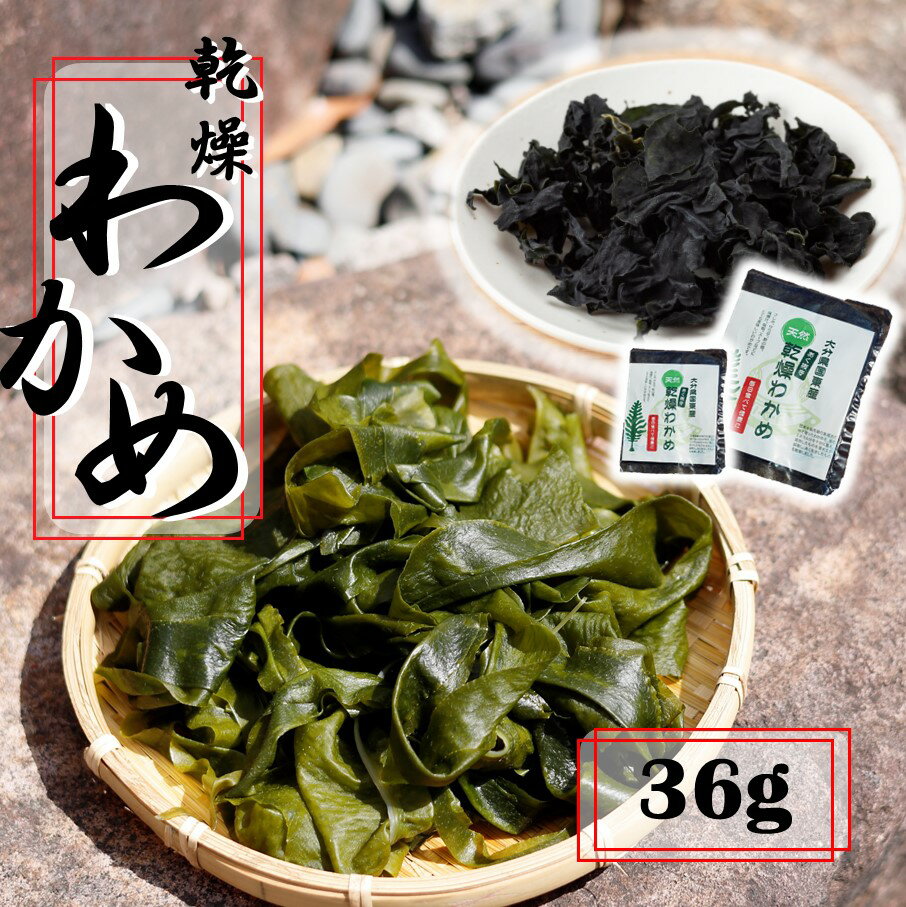 【ふるさと納税】ミネラル豊富な海の野菜！乾燥わかめ 36g( 18g×2P ) 国産 国東 国東半島 大分 海藻 酢の物 サラダ 味噌汁 食物繊維 ミネラル