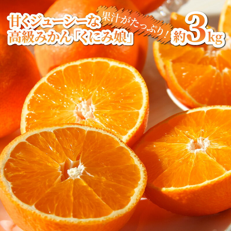 [先行予約]令和7年12月発送開始/甘くジューシーな高級みかん「くにみ娘」約3kg