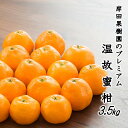 【ふるさと納税】岸田果樹園プレミアム「温故蜜柑」3.5kg