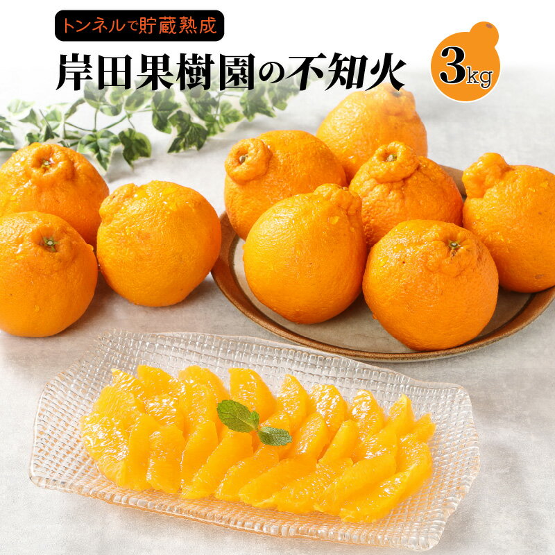 トンネルで貯蔵熟成/岸田果樹園の不知火 約3kg(2月下旬から出荷開始予定)