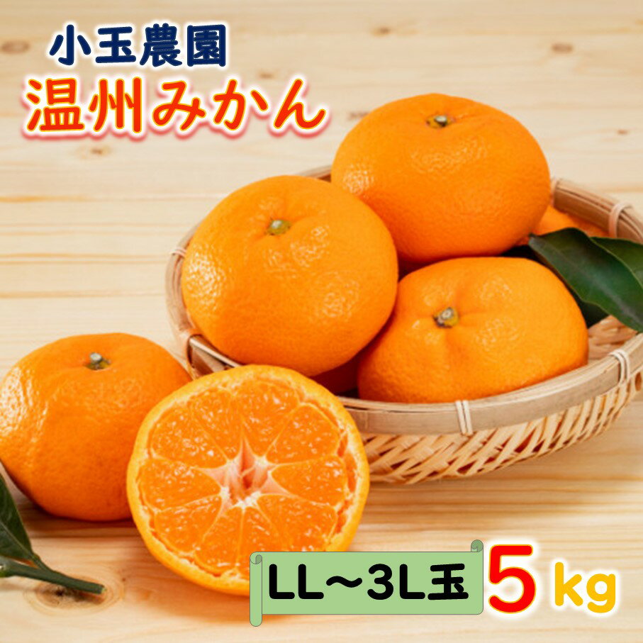 小玉農園/国東みかん約5kg(LL〜3Lサイズ) 温州ミカン 蜜柑 みかん 訳あり 大玉 送料無料 5kg 数量限定