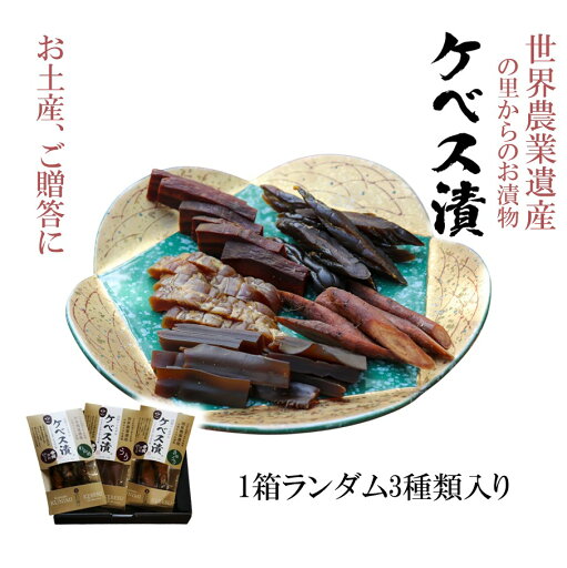 【10月から発送予定】西の関の酒粕で作ったこだわりの奈良漬け「季節のケベス漬け」1箱ランダム3種セット(計510g) 【10月から発送予定】西の関の酒粕で作ったこだわりの奈良漬け「季節のケベス漬け」1箱ランダム3種セット(計510g)