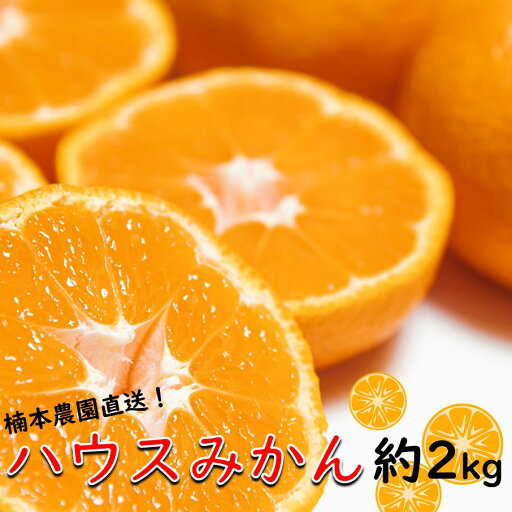 【ふるさと納税】【7月中旬から発送予定】楠本農園直送!こだわりハウスみかん 約2kg 【ふるさと納税】【7月中旬から発送予定】楠本農園直送!こだわりハウスみかん 約2kg
