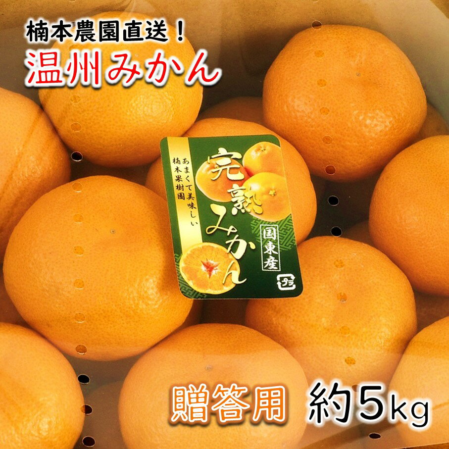 【ふるさと納税】【令和7年12月中旬から発送】楠本農園直送！温州みかん（贈答用）約5kg(4)