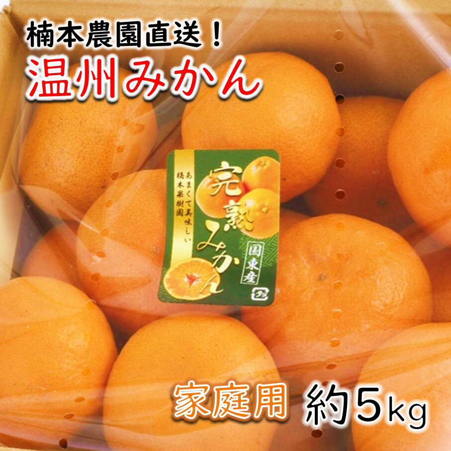 [令和7年12月中旬から発送]楠本農園直送!温州みかん(家庭用)約5kg