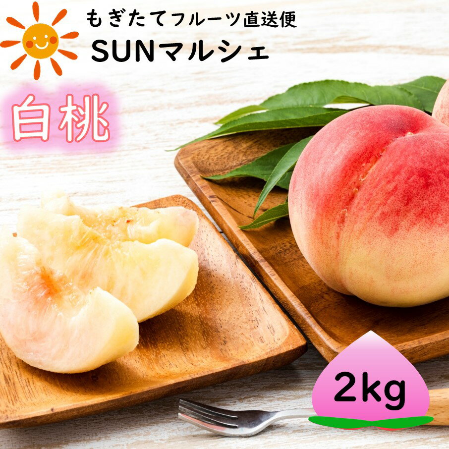 3位! 口コミ数「4件」評価「4.75」SUNマルシェの新鮮直送フルーツ 白桃/あかつき（2kg）