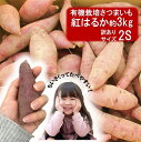 【ふるさと納税】訳あり 小さいサイズ 有機栽培 さつまいも 岬ちゃん 紅はるか 約3kg 2Sサイズ 50g~100g前後/個 有機JAS認証