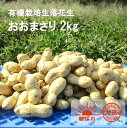 【ふるさと納税】有機栽培 生落花生 2kg おおまさり 朝採れ 直送 有機JAS認証