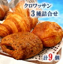 【ふるさと納税】クロワッサン 詰め合わせ 3種 9個 ショコラ ゴマ あんこ 朝食 パン 海辺のパン屋 麦正 バター 100%