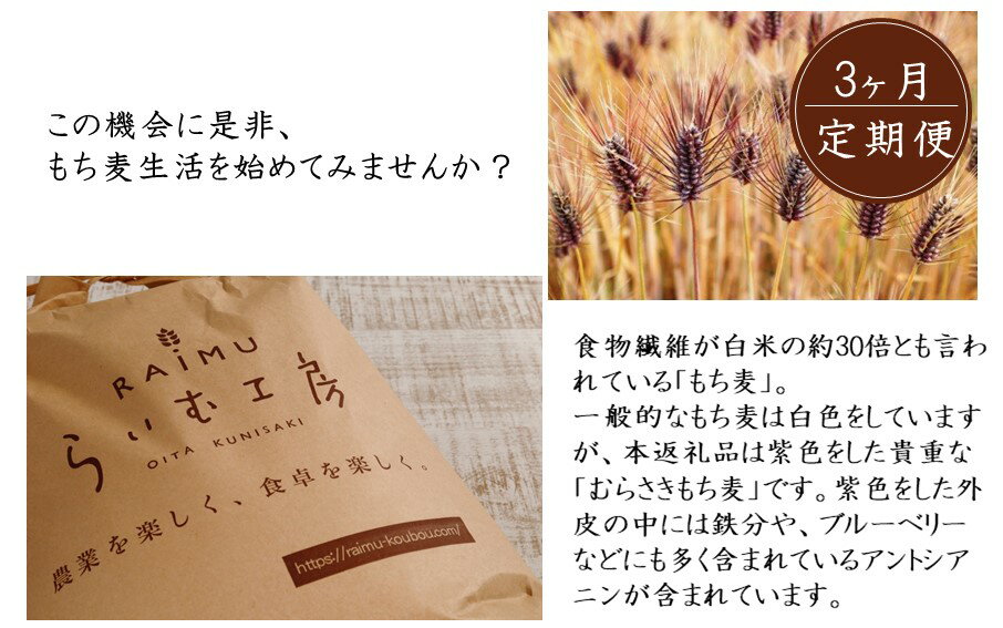 【ふるさと納税】食物繊維を定期的に！お米5kgともち麦製品の3ヶ月定期便/計3回発送