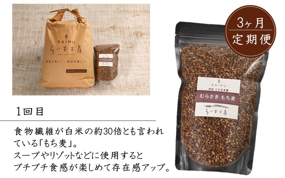 【ふるさと納税】食物繊維を定期的に！お米5kgともち麦製品の3ヶ月定期便/計3回発送