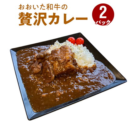 おおいた和牛の贅沢カレー 2パック