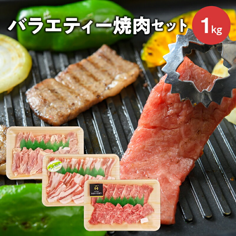 【ふるさと納税】バラエティー焼肉セット