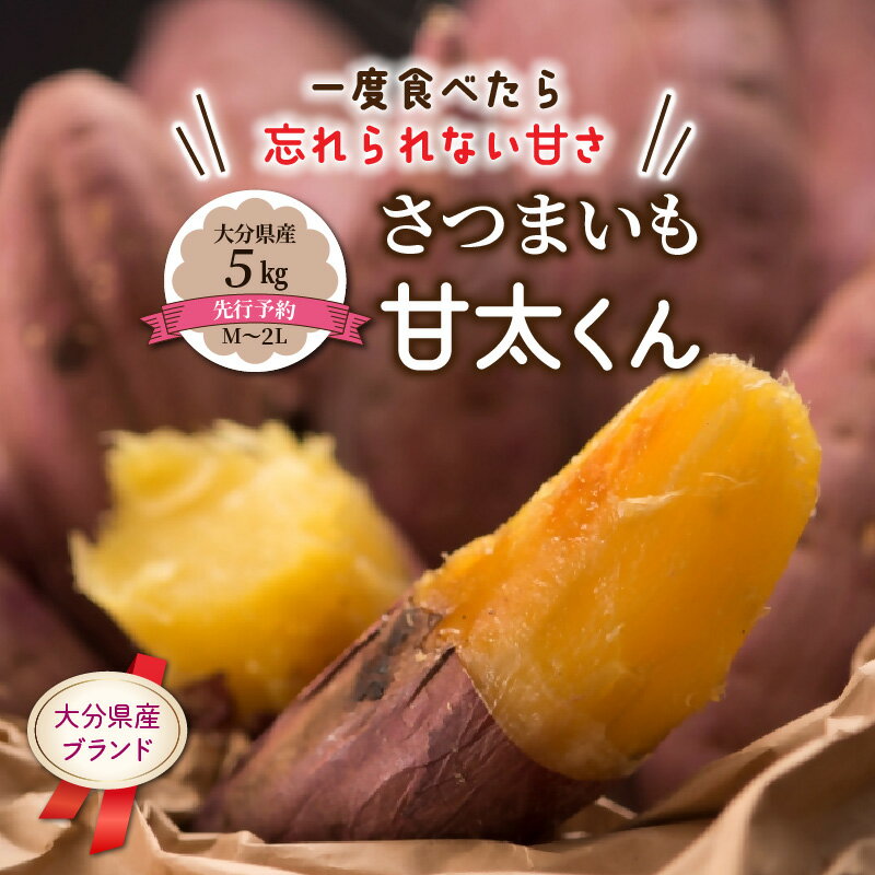 【ふるさと納税】さつまいも 甘太くん 5kg 大分県産 M～2Lのサムネイル